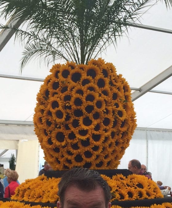 ANDREW NUTTER AT THE SOUTHPORT FLOWER SHOW