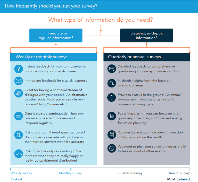 employee survey frequency