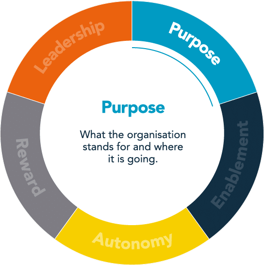 employee engagement model