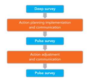 pulse survey cycle