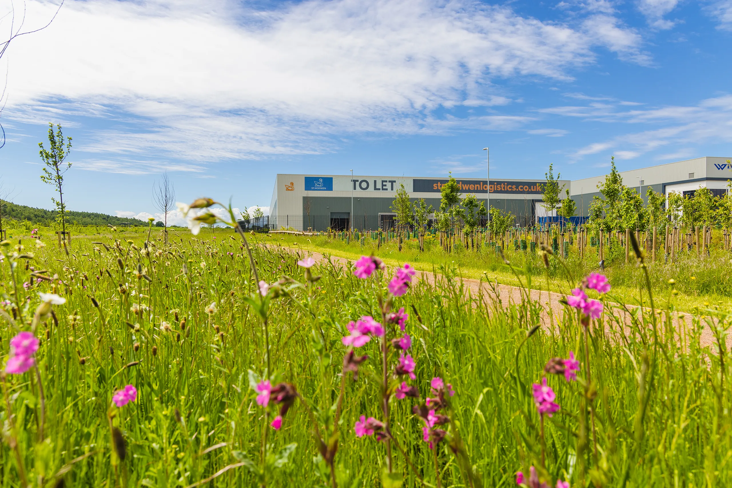 St. Modwen Park Tamworth biodiveristy