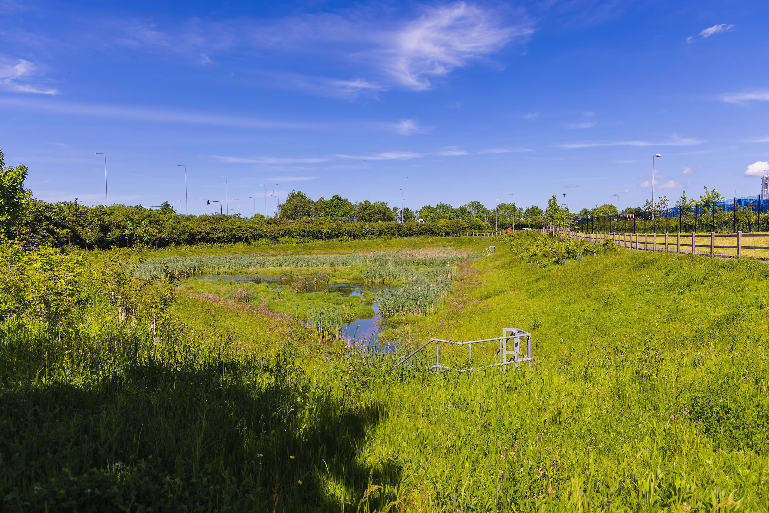 St. Modwen Park Tamworth biodiversity