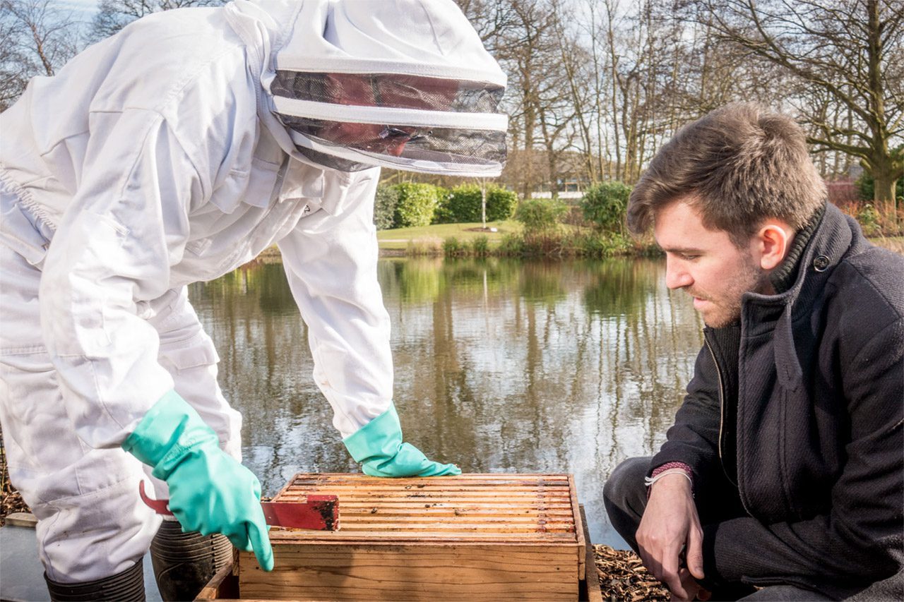Beekeeper opening hive Beekeeper opening hive at Birmingham Business Park