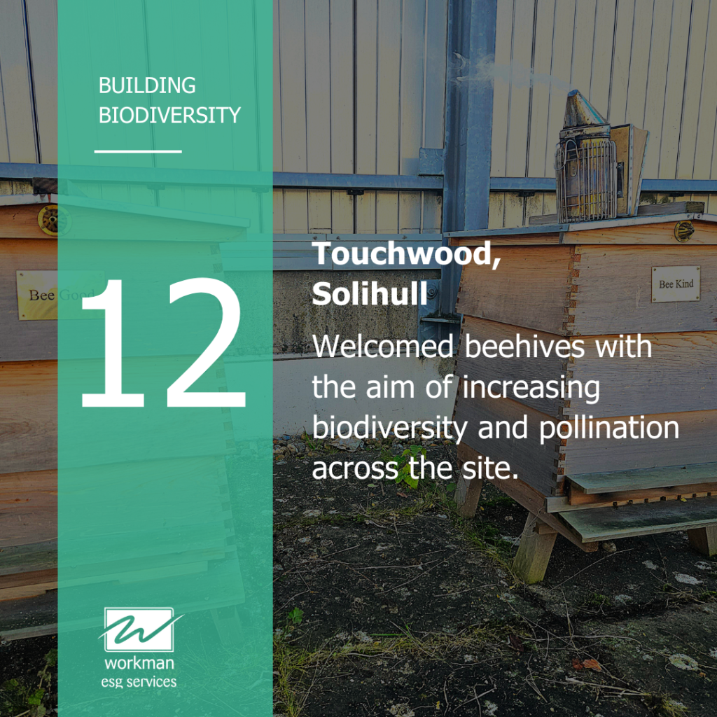 Touchwood, Solihull Touchwood, Solihull