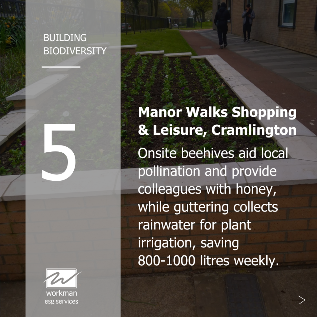 Manor Walks Shopping & Leisure, Cramlington Manor Walks Shopping & Leisure, Cramlington