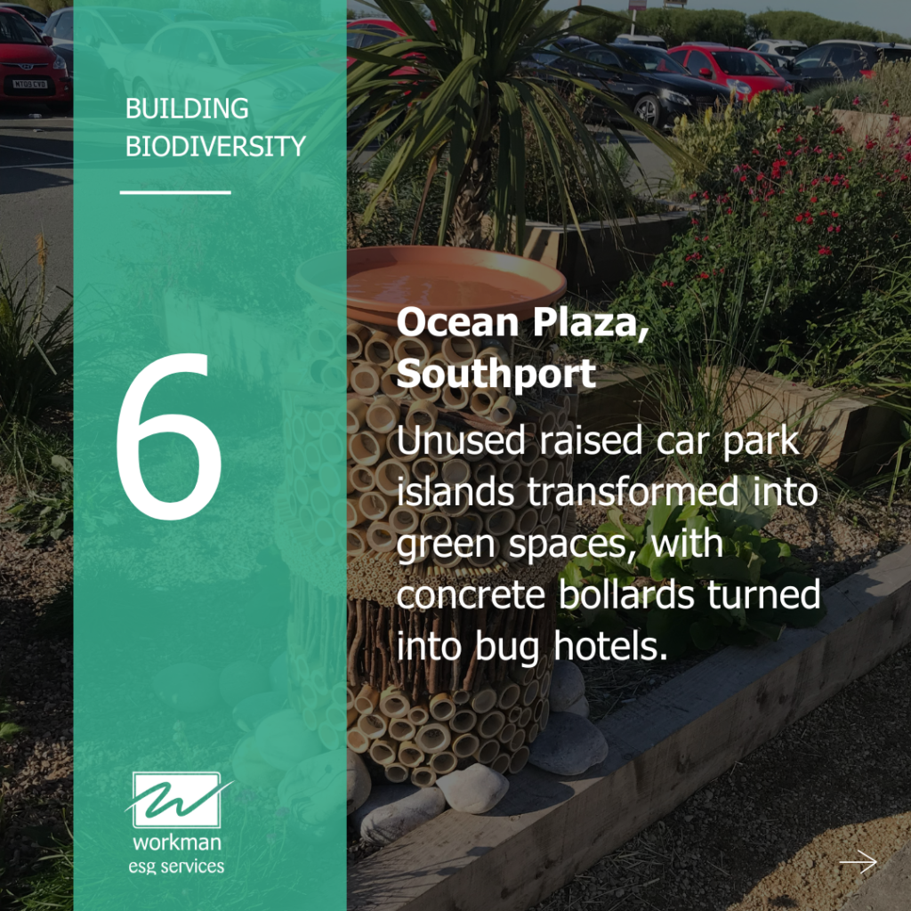 Ocean Plaza, Southport Ocean Plaza, Southport