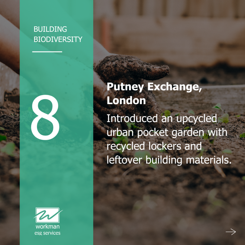 Putney Exchange, London Putney Exchange, London