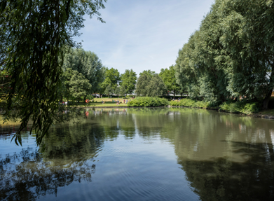 building biodiversity building biodiversity
