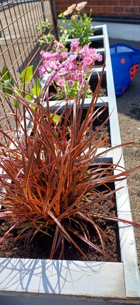 building biodiversity building biodiversity