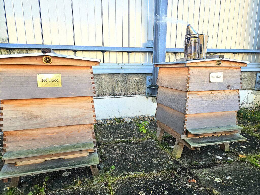 Workman supporting biodiversity Workman supporting biodiversity