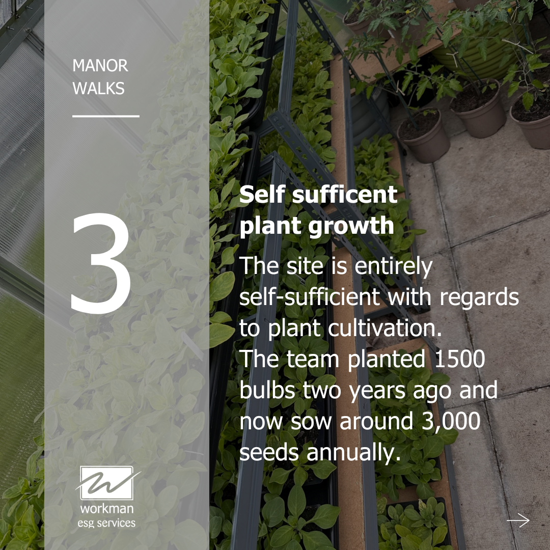 self sufficient plant growth, Manor Walks