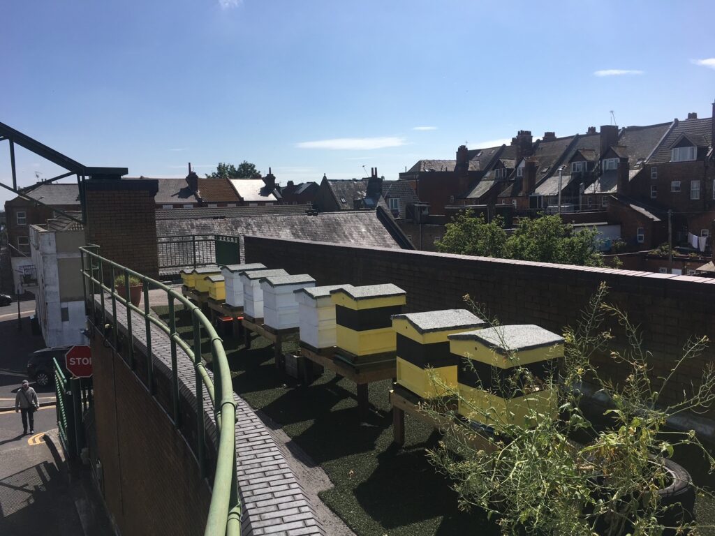 sovereign bees sovereign bees