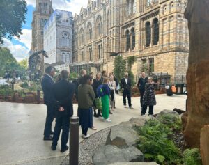 Natural History Museum gardens