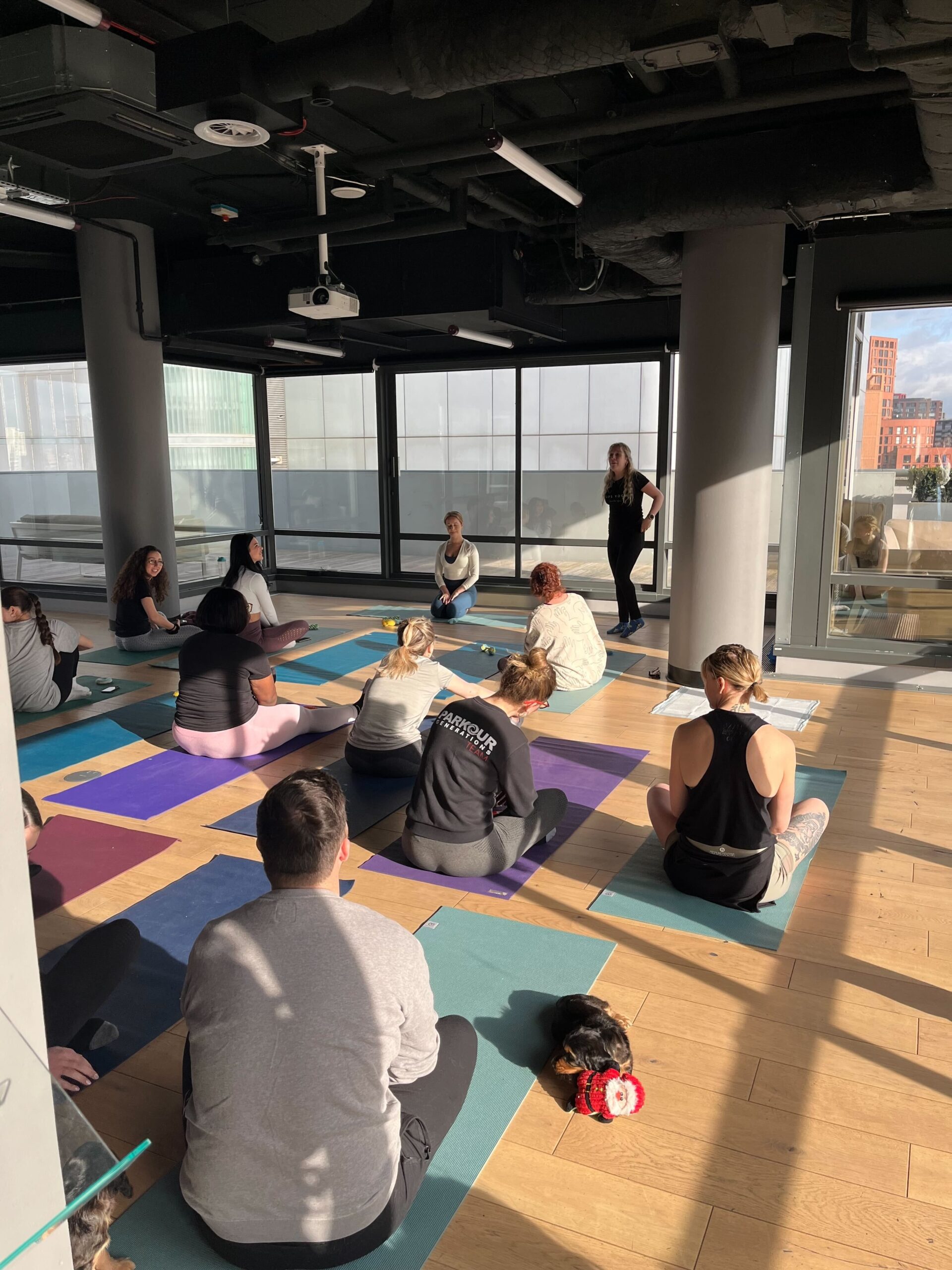 Republic active design puppy yoga